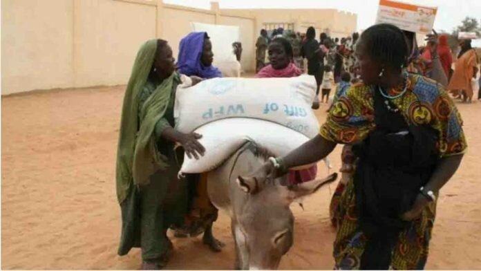 Des femmes repartent avec une aide alimentaire de la part du PAM, dans la région à Gourma Rharous, au Mali
