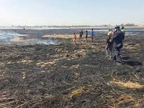 champ-riz-Niono Un champ de riz à Niono